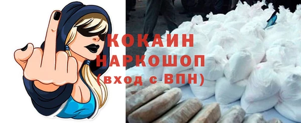 PSILOCYBIN Горно-Алтайск