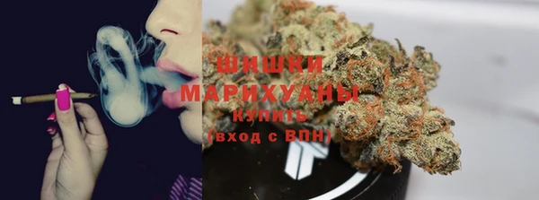 прущая мука Гусев