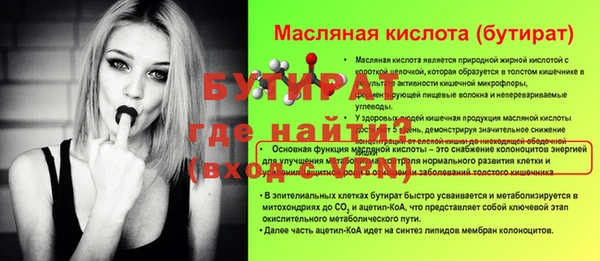 индика Волоколамск