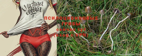 прущая мука Гусев